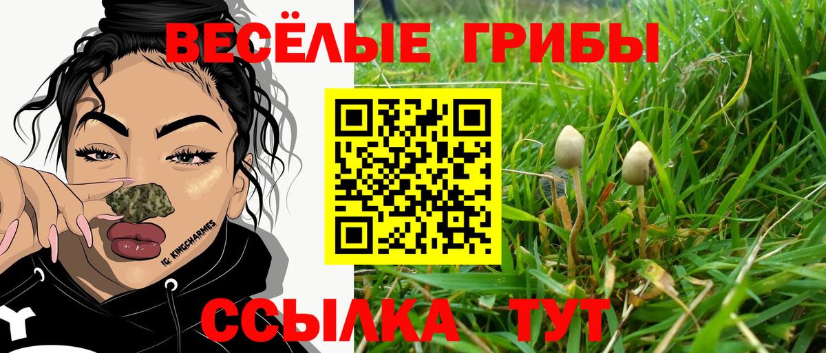 Галлюциногенные грибы Psilocybe  Галлюциногенные грибы Psilocybine cubensis  Реж  Вход с VPN 